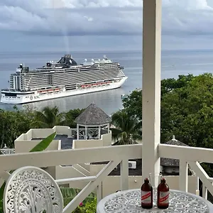 Hummingbird Retreat - Luxury Oceanview Apt, 7-minute Walk To Ocho Rios